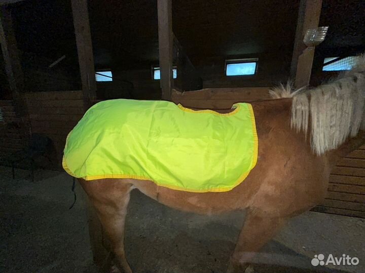 Вальтрапы, амуниция, попона,комплект,крылья