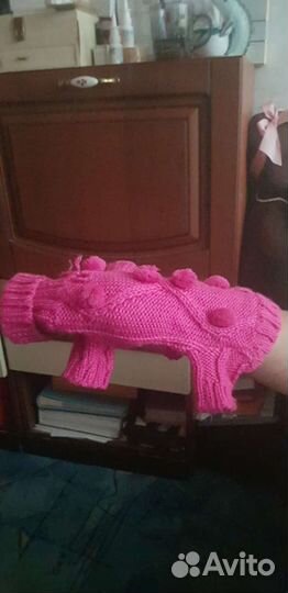 Ожежда для животных