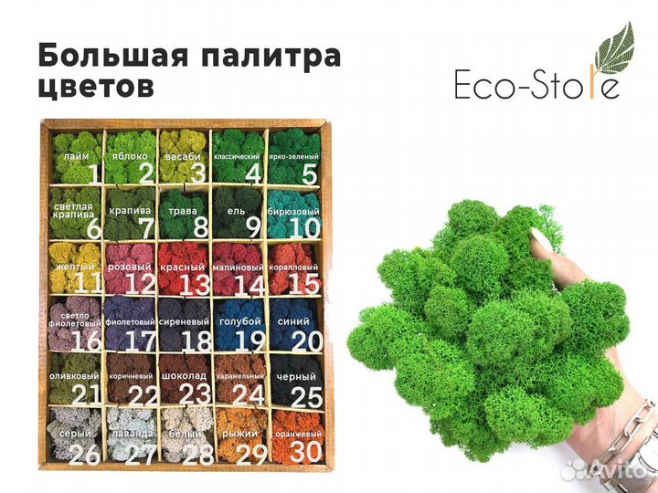 Зеркало мох. С добавлением растений