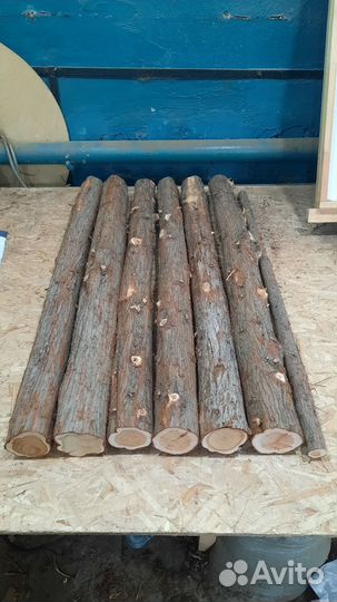 Можжевельник