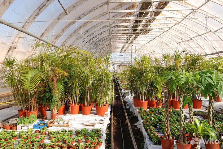 Плёнка многолетняя Stabilen