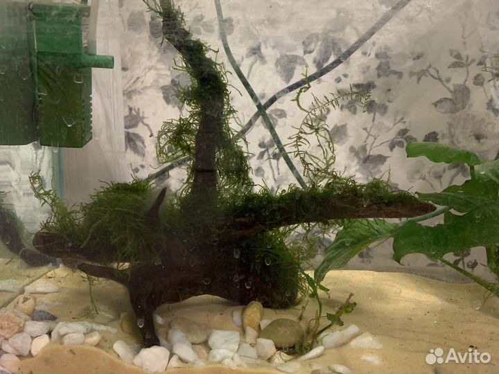 Украшения для аквариума