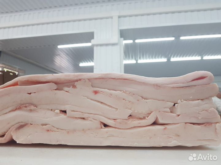 Шпик хребтовой