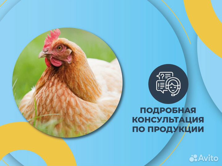 Веники для бани-дуб