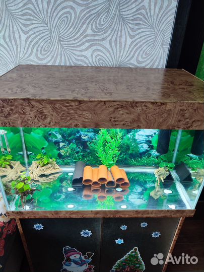 Аквариум с тумбой и номерными сомами