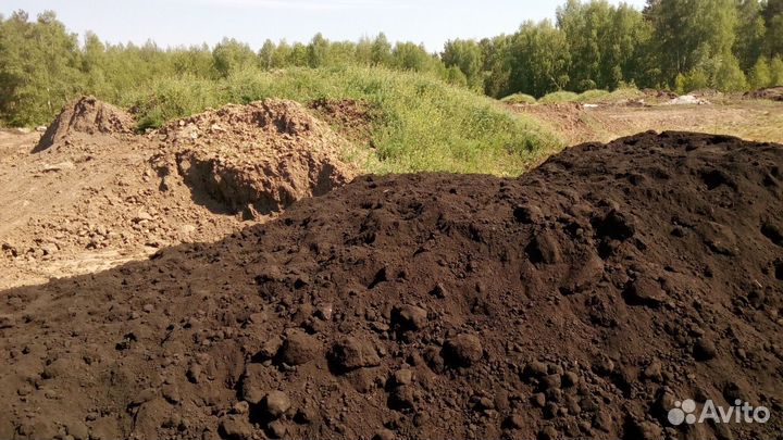 Чернозем, грунт без посредников