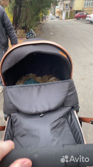 Коляска 2 в 1lukxmom