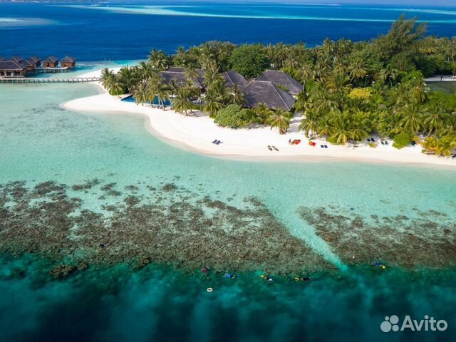 Горящий тур на Мальдивы купить в Санкт-Петербурге по низкой цене | Хобби и отдых