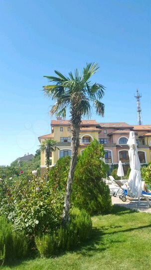 1-к. квартира, 50 м², 1/3 эт.