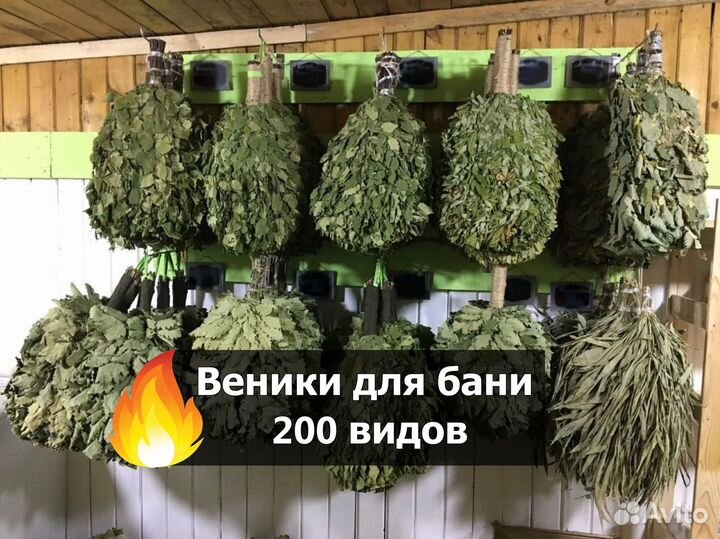 Веники для бани. Пихта Только оптом от 100шт