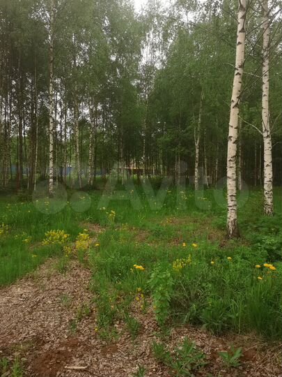 Участок 30 сот. (СНТ, ДНП)