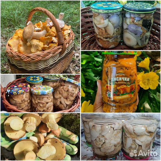 Грибы Крымские маринованные