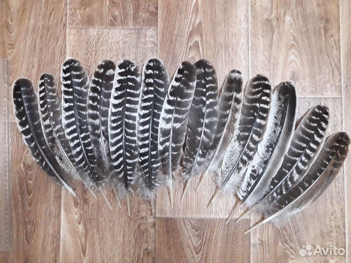 Крупные перья индюка, от 26 см