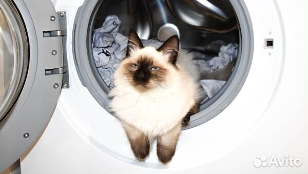 Ремонт стиральных машин