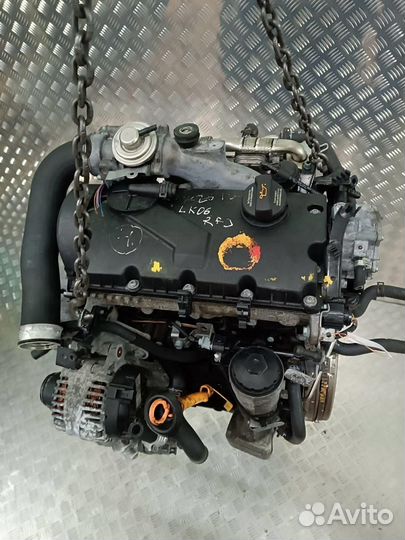 Двигатель Volkswagen Golf 5 2003-2009 1.9 BKC