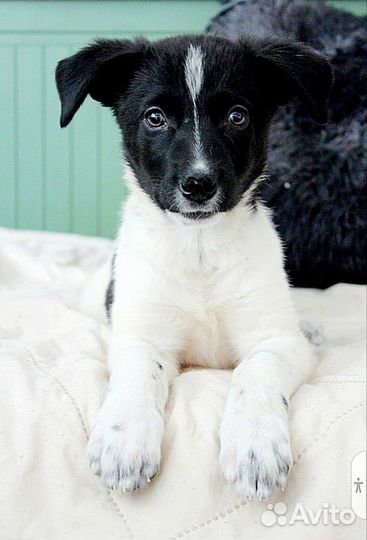 Мира ищет свою семью