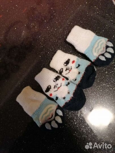 Носочки для собак мелких пород