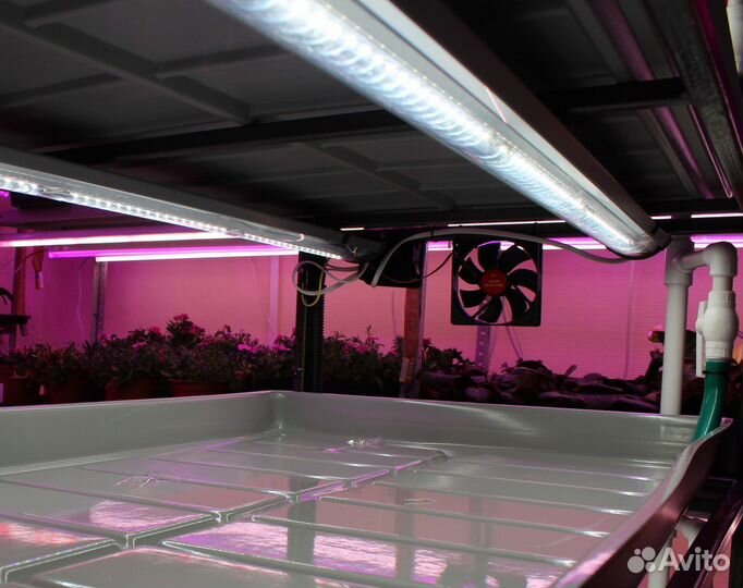 Гидропонная установка для микрозелени
