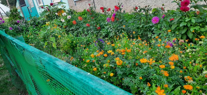 Дом 76 м² на участке 27 сот.