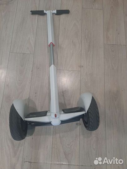 Гироскутер сигвей