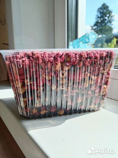 Сушеная ягода 2023