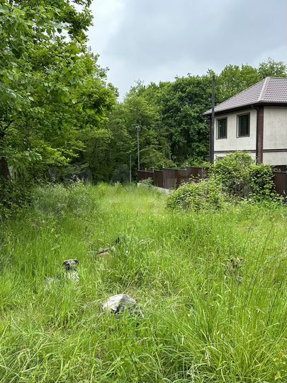 Участок 4 сот. (ИЖС)