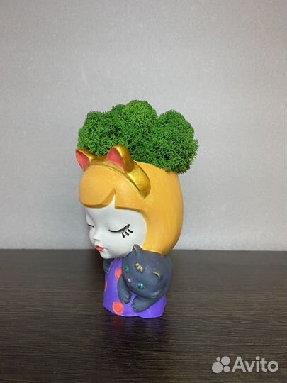 Кашпо с мхом стабилизированным