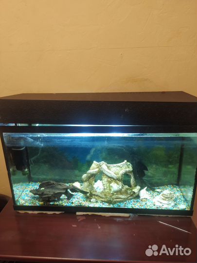Аквариум с рыбками бу