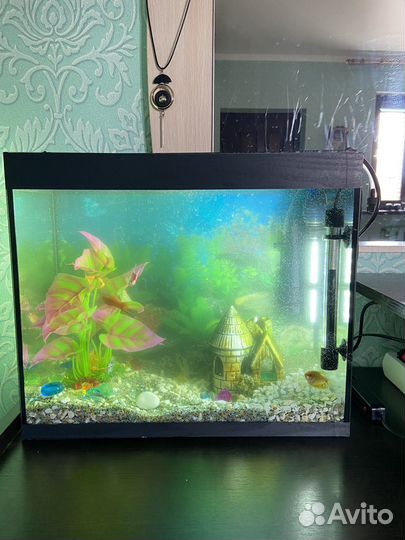 Аквариум