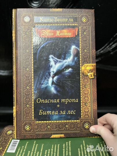 Коты-воителиЗемля королей