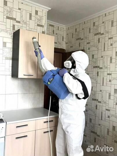 Сэс Уничтожение тараканов, крыс, клопов, насекомых