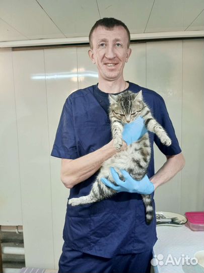 Ветеринарный врач на дом