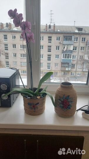 Ваза для фруктов