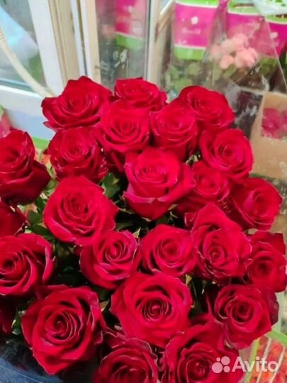 Живые розы