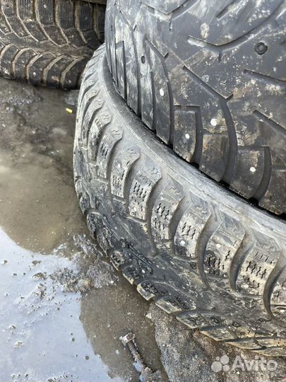 Nokian Tyres Hakkapeliitta 5 205/65 R15 25H