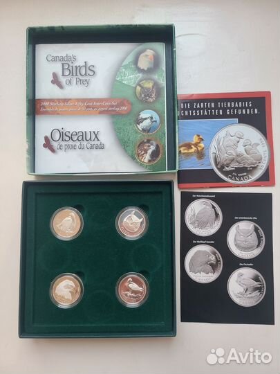 Набор из 4 серебряных монет - Хищные птицы