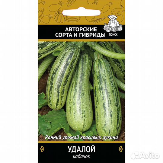 Кабачок Удалой