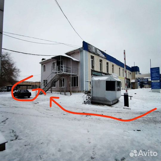 Прокат Горных/Беговых Лыж,Сноубордов,Экипировки