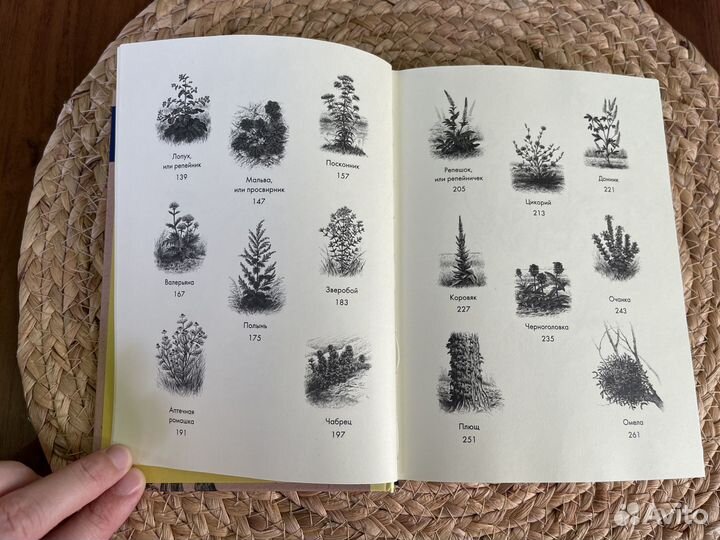 Травы Урсула Штумпф