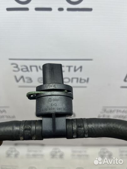 Датчик температуры топлива VAG 038906081b