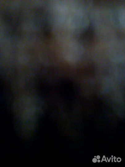 Стартер ямз