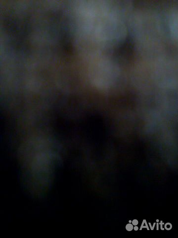 Стартер ямз