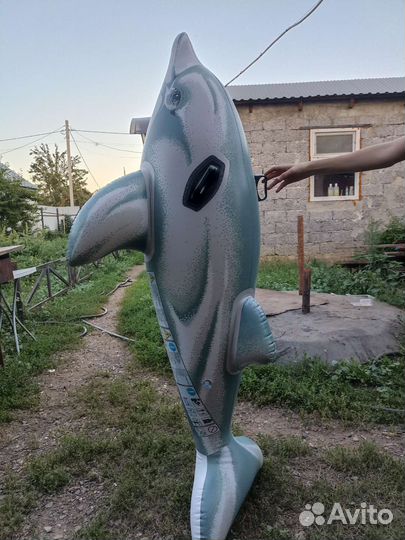 Надувной дельфин