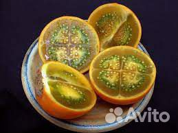 Луло (наранхилья) саженцы