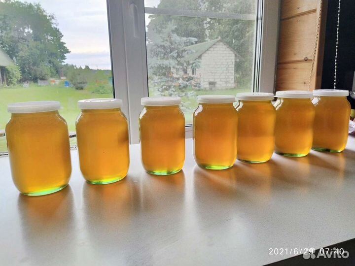 Мёд 2023 Волосовский район