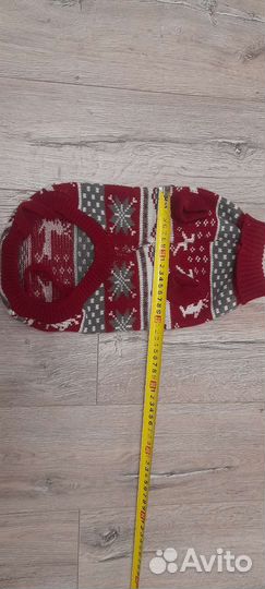 Одежда для маленьких пород собак