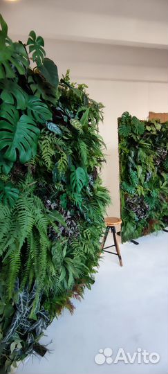 Аренда фотозоны из тропических растений