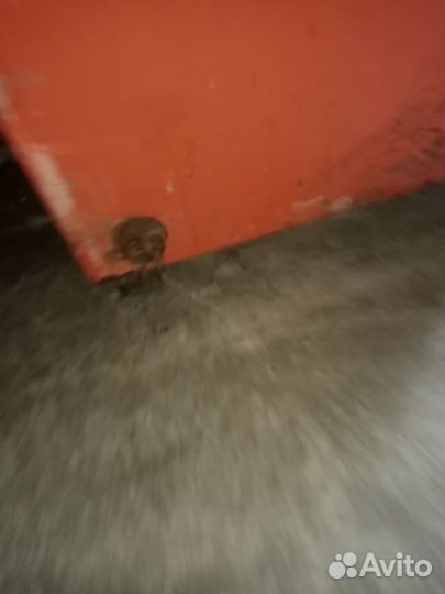 Котел твердотопливный гефест