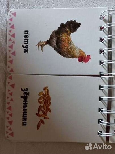 Развивающая книга