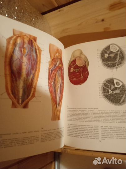 Оэперативная Хирургия и Топографическая Анатомия